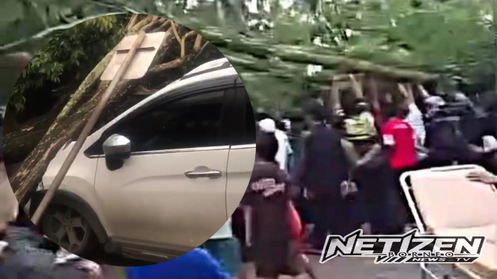 Pohon Tumbang di Depan Masjid Alkaromah Martapura, Dua Pengguna Jalan Tertimpa